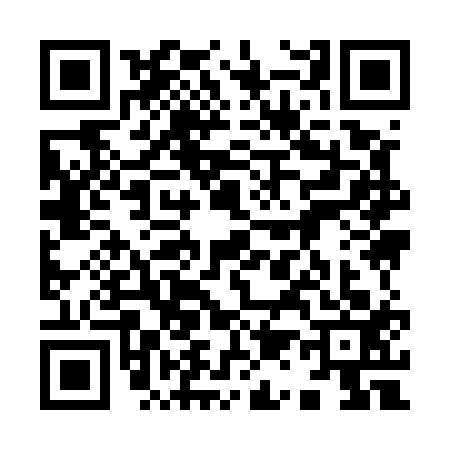 QR code for 9195133