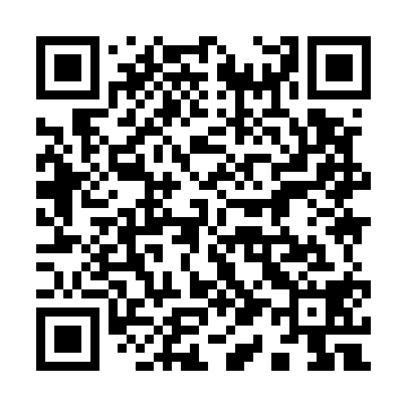 QR code for 919518