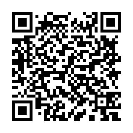 QR code for 919838