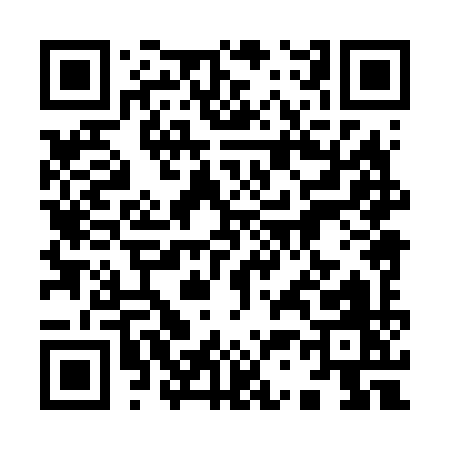 QR code for 93869