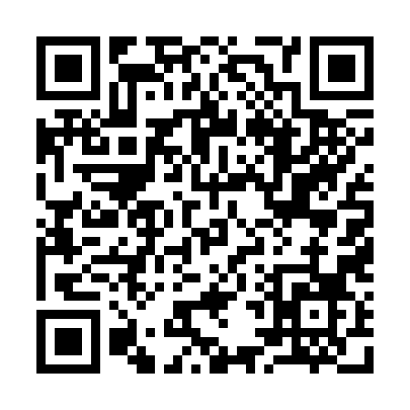 QR code for 94538