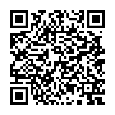 QR code for 9500228