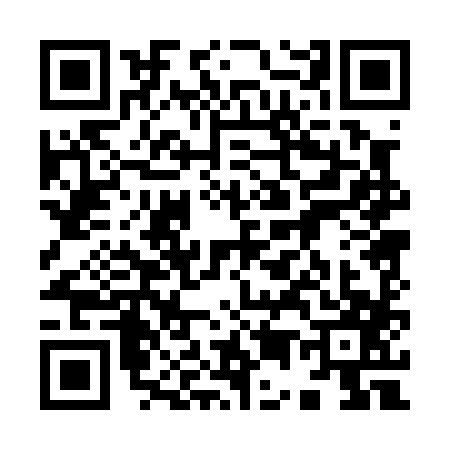QR code for 9500871