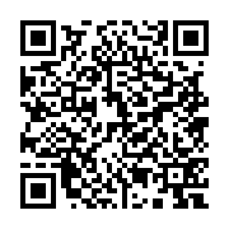 QR code for 9501738