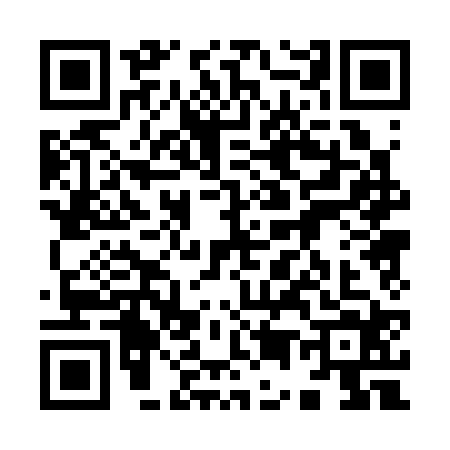 QR code for 9503243