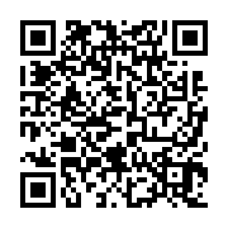 QR code for 9506008