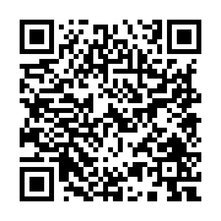 QR code for 95096