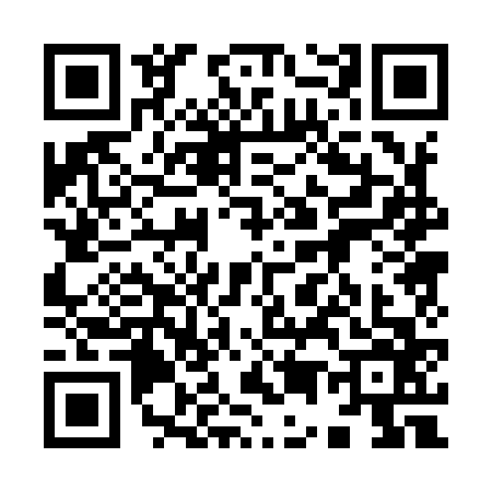 QR code for 9509662