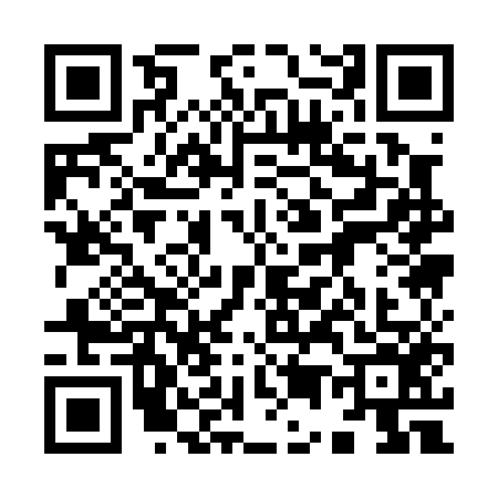 QR code for 9510561