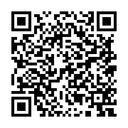 QR code for 9518569