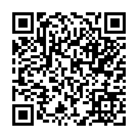 QR code for 95236