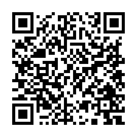 QR code for 95296