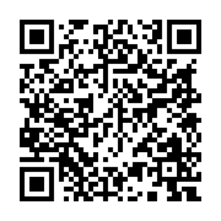 QR code for 95381