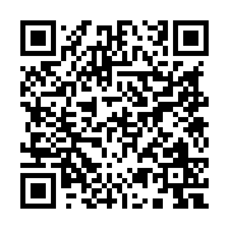 QR code for 95383