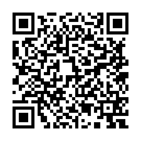 QR code for 9538619