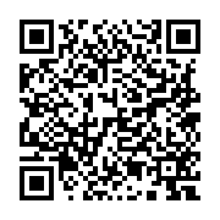 QR code for 9539564