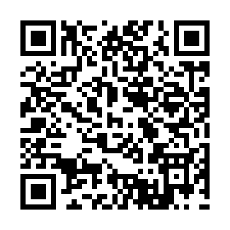 QR code for 95493