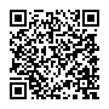 QR code for 95509
