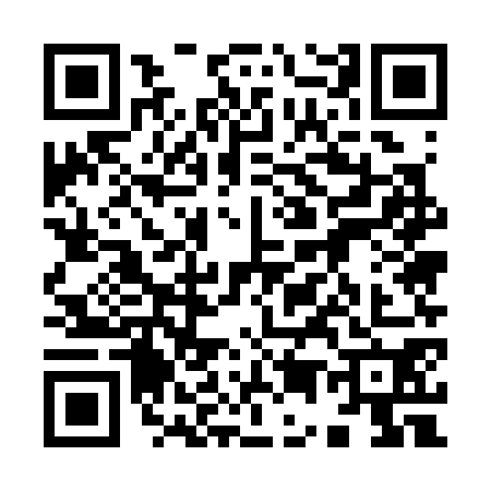 QR code for 9553708