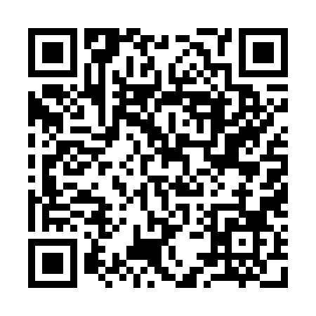 QR code for 95578
