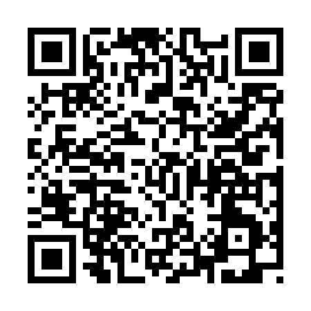 QR code for 95645