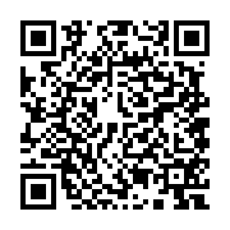 QR code for 9564541