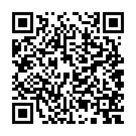 QR code for 9566041
