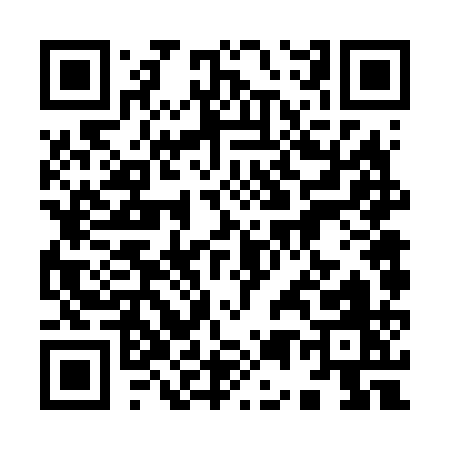 QR code for 95661