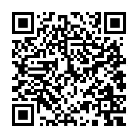 QR code for 95663