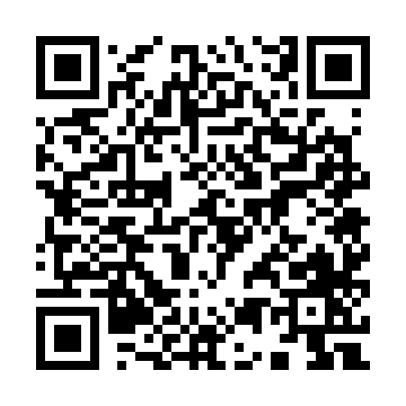 QR code for 95738