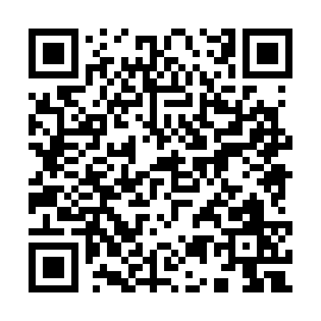 QR code for 95833