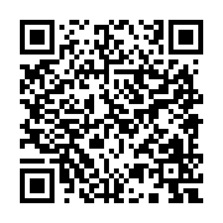 QR code for 95869