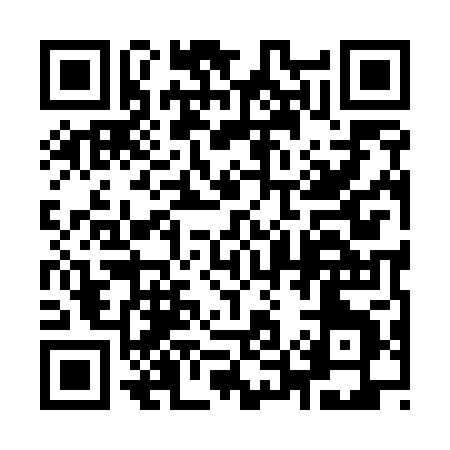 QR code for 95950