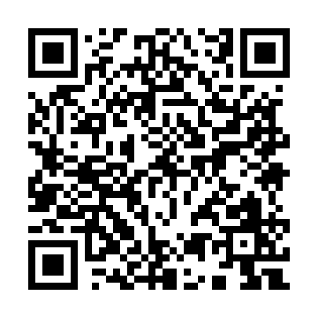 QR code for 95951