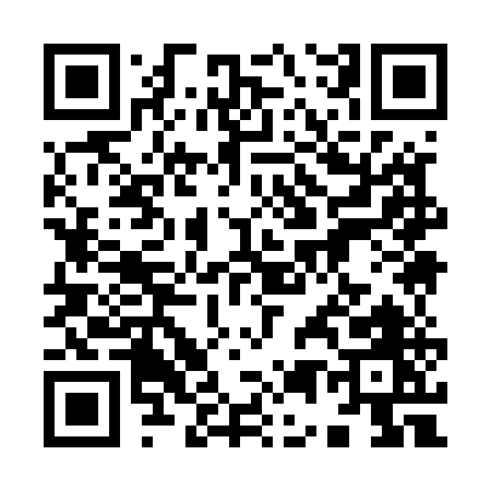 QR code for 95955