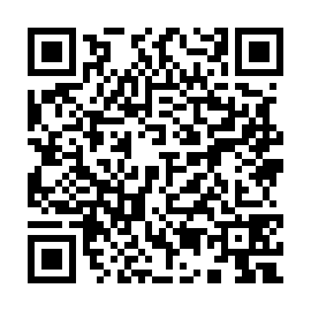 QR code for 9595784