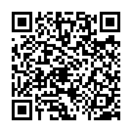 QR code for 9596095