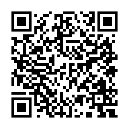QR code for 95961