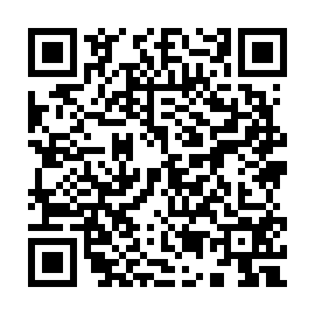 QR code for 9596549