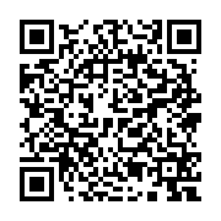 QR code for 9596648