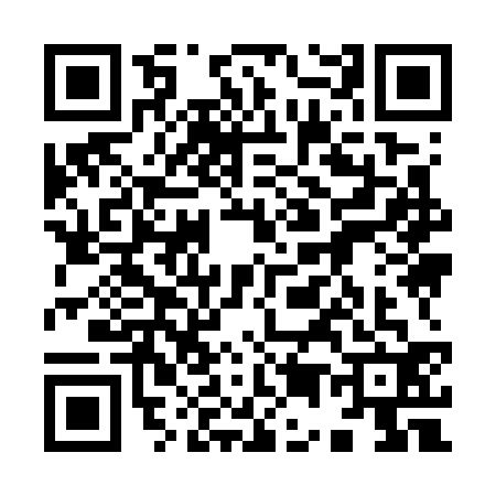 QR code for 9597321