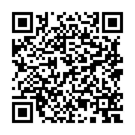 QR code for 9598164