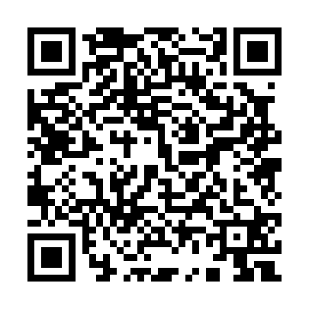 QR code for 9600206