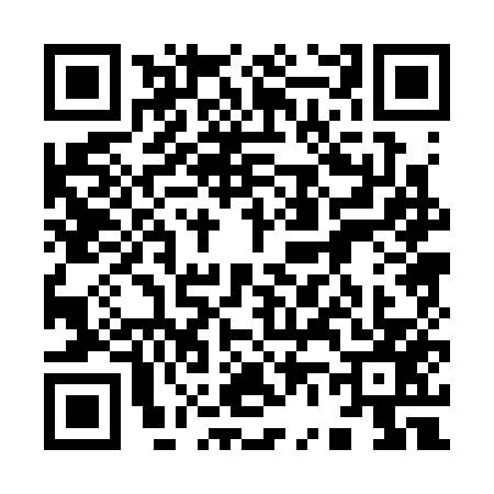 QR code for 9603575