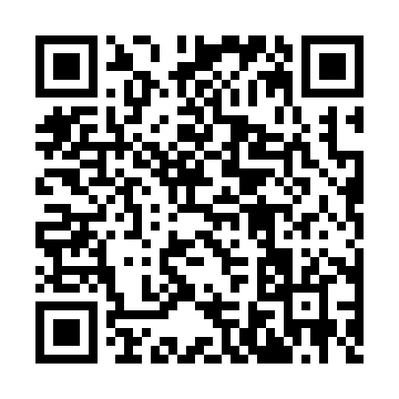 QR code for 96038
