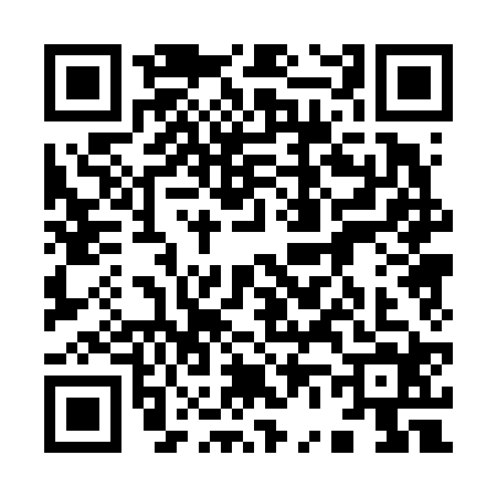 QR code for 9606247