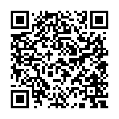 QR code for 96065