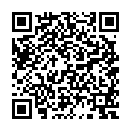 QR code for 9630806