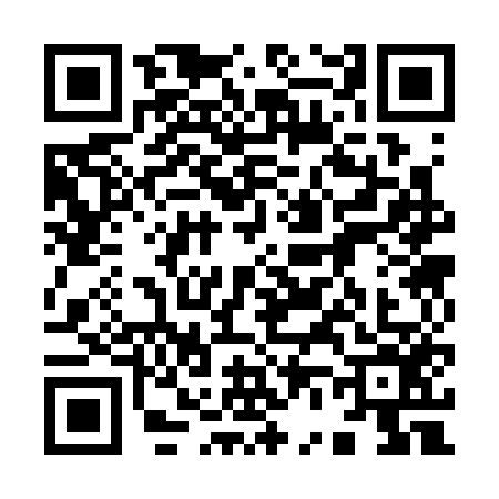 QR code for 9633561