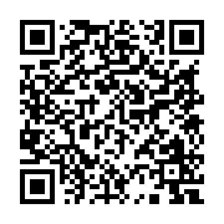 QR code for 96381